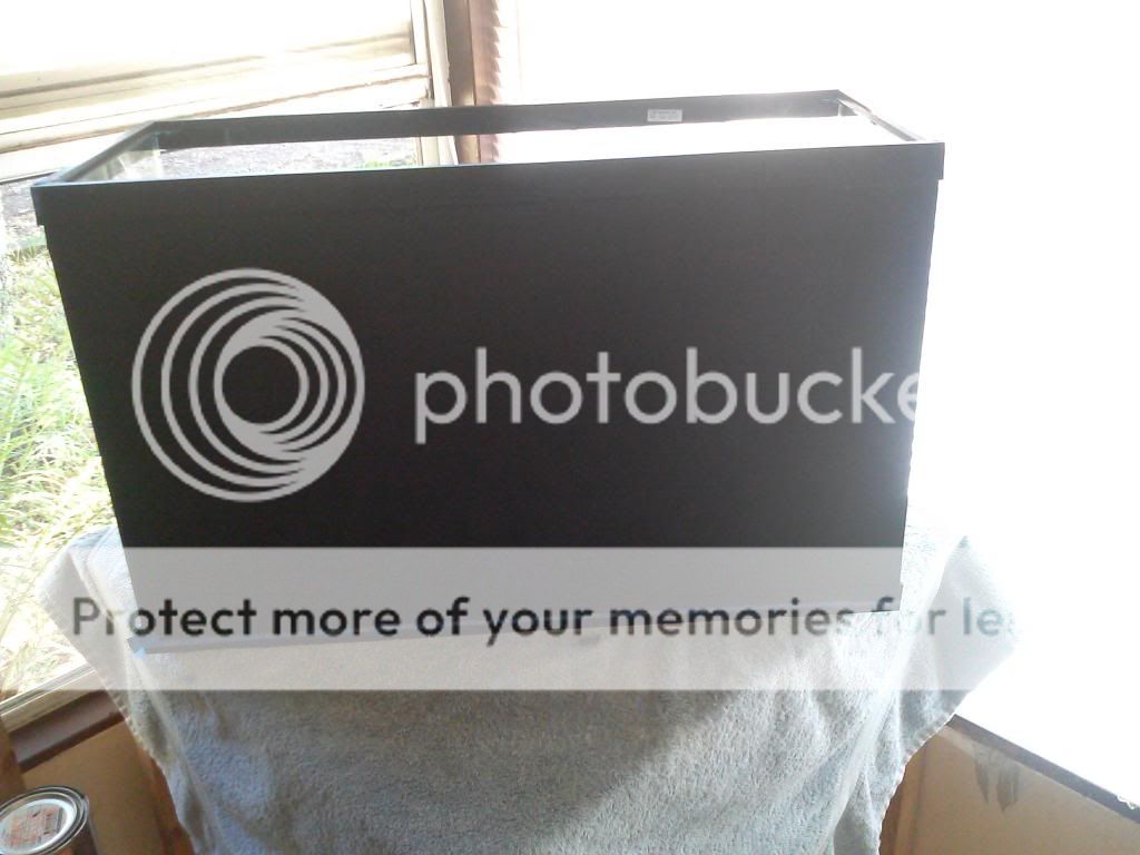 CAM00710.jpg