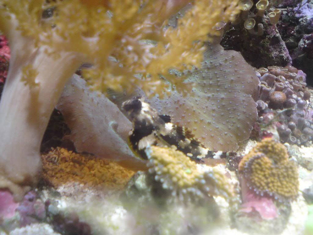 DSC00016.jpg