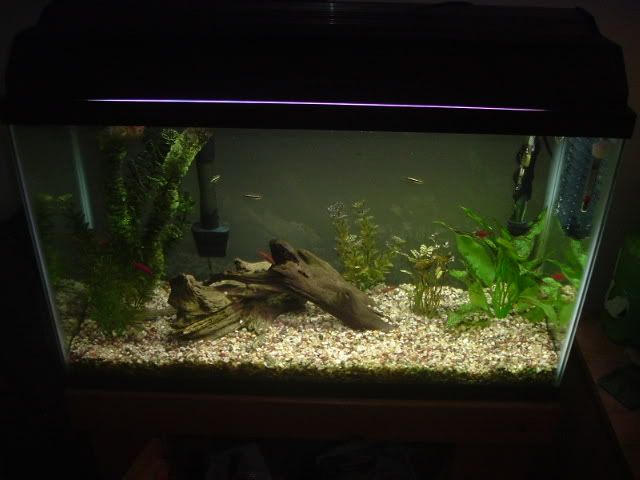 DSCF0528.jpg