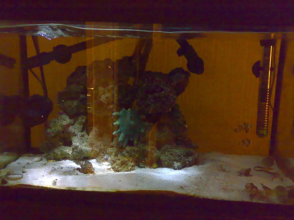 12012009105.jpg
