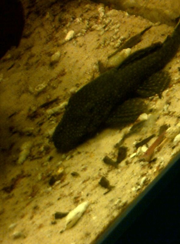 IMG-20120830-00377.jpg