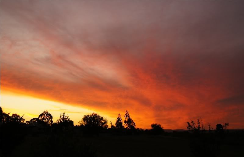 Sunset12thJan2012a.jpg
