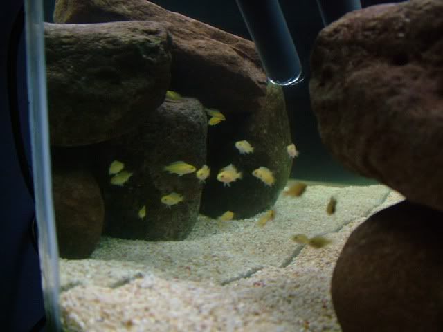 DSCF2358.jpg