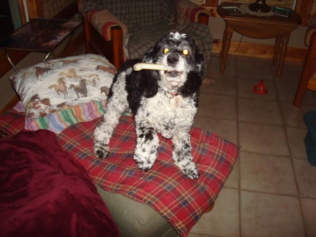 pepper006.jpg