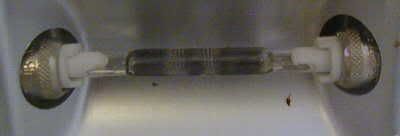 bulb1.jpg