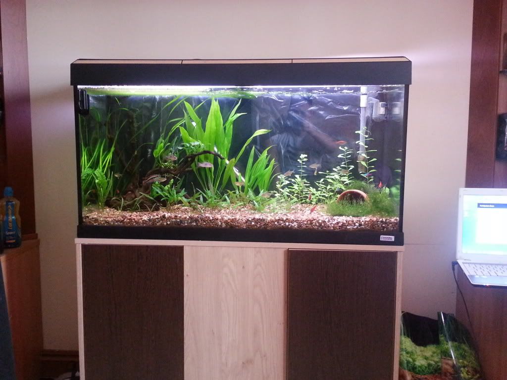 20120812_121547.jpg