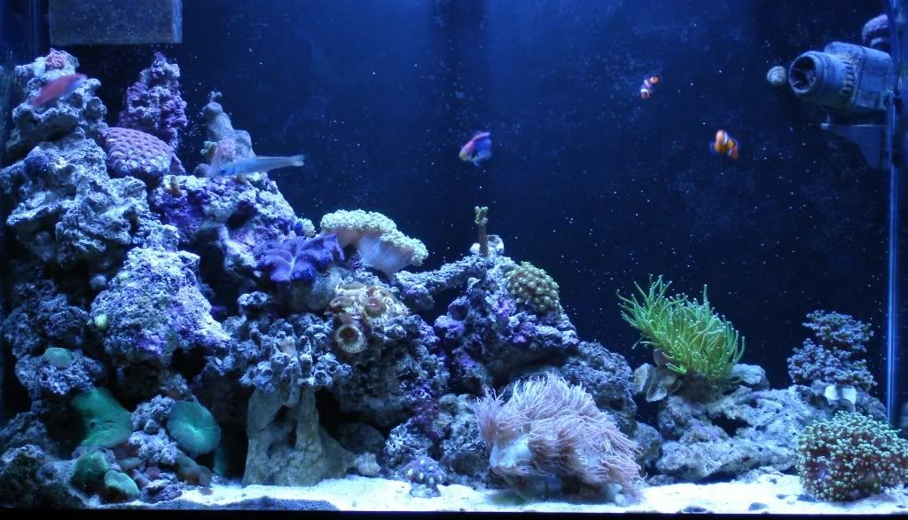 03-21-07Fulltank.jpg