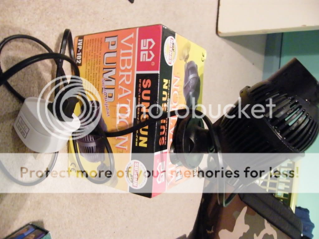 DSCF4876.jpg
