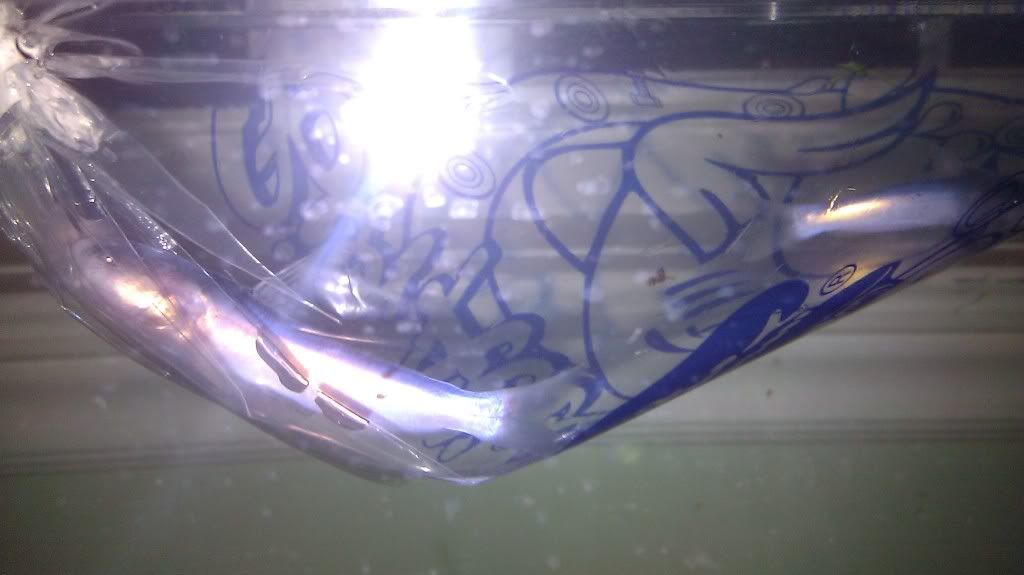 IMAG1062_zpsa060d987.jpg