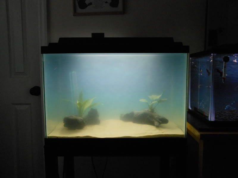 DSCN0448.jpg