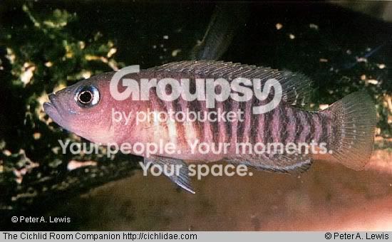 multi2.jpg