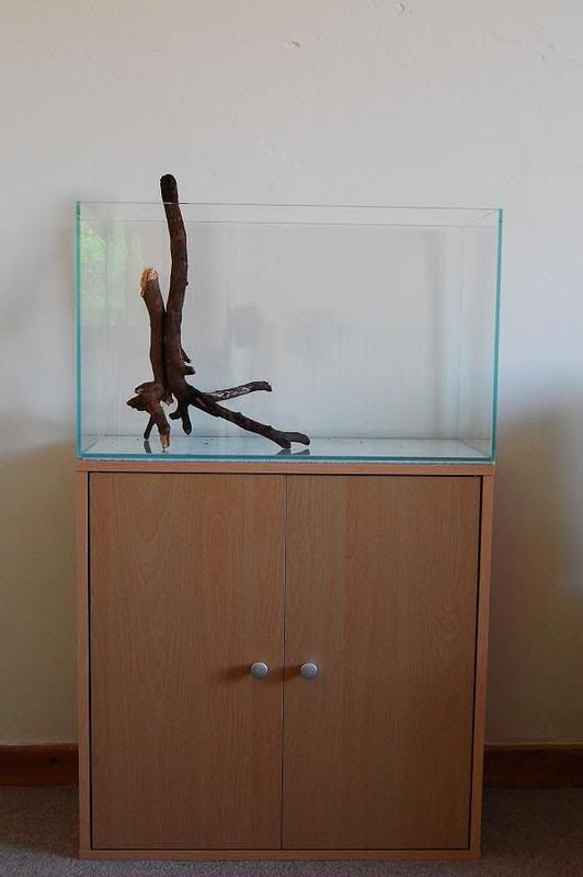EmptyTankWithWood.jpg