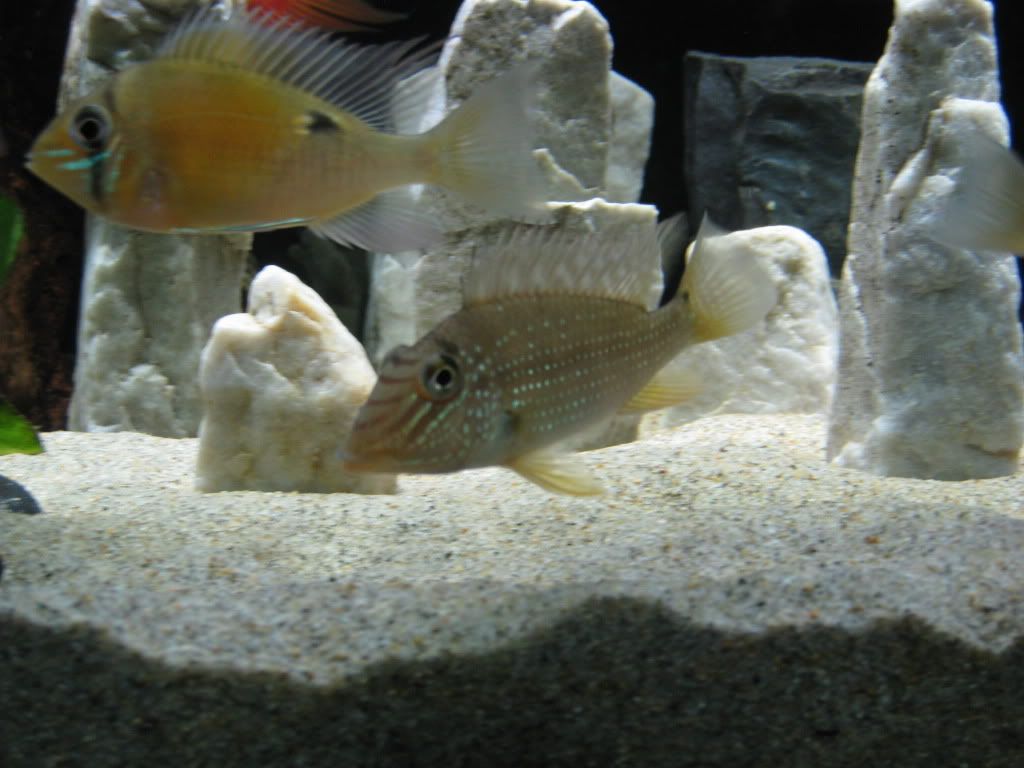 IMG_1692.jpg