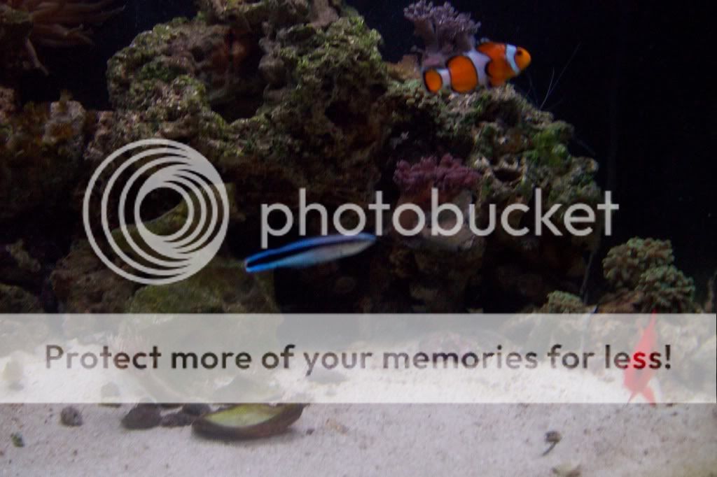 aquarium023.jpg