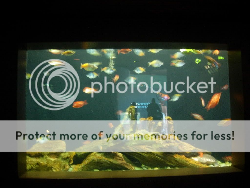 2008084.jpg