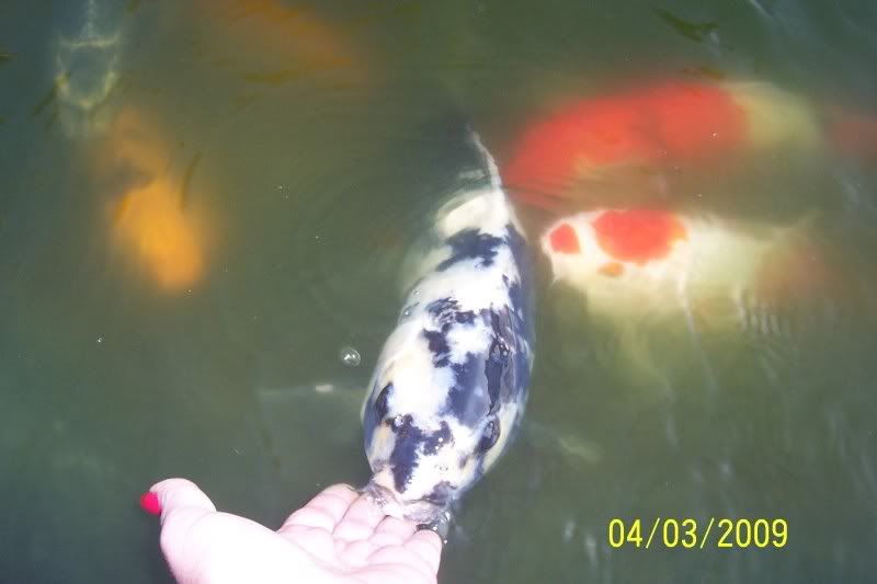 100_4495.jpg