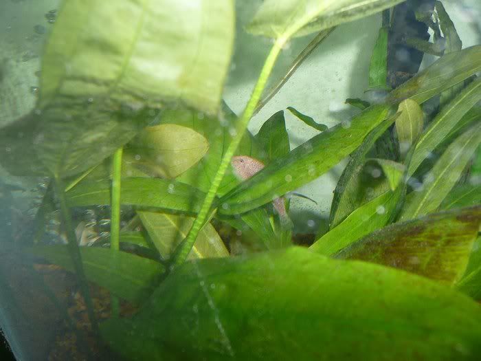 10-7-11.jpg