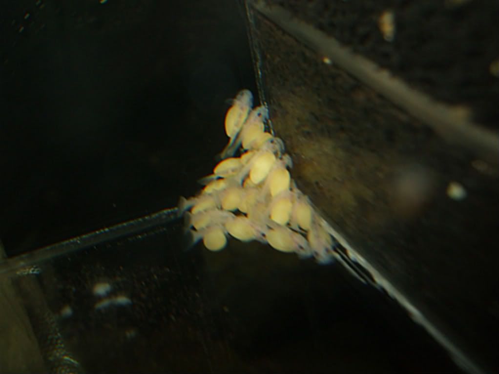 DSCF2880.jpg