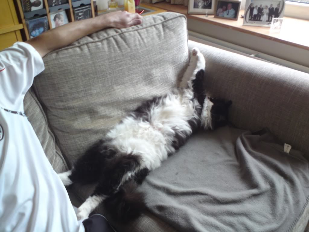 DSC00011.jpg