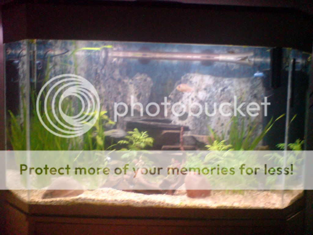 DSC00688.jpg