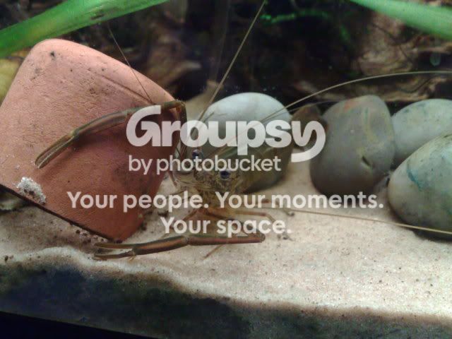 14052009359.jpg