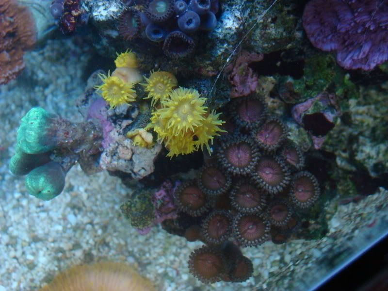 DSC06923.jpg