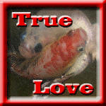 truelove.gif
