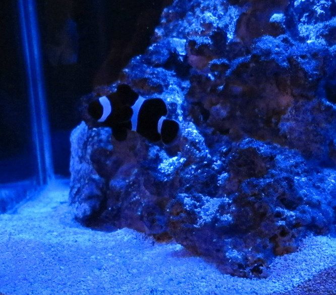 IMG_1575.jpg