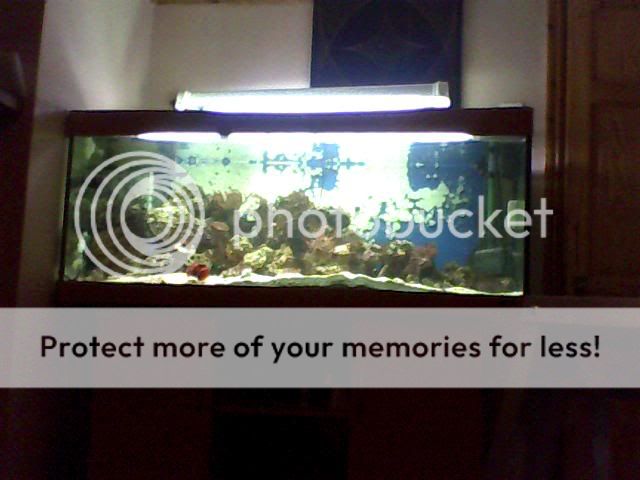 Image_00045.jpg
