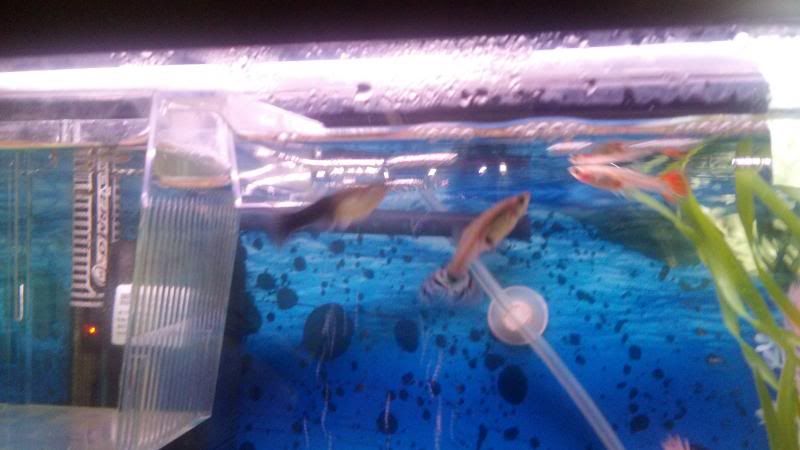 2013-04-06_13-35-32_860.jpg