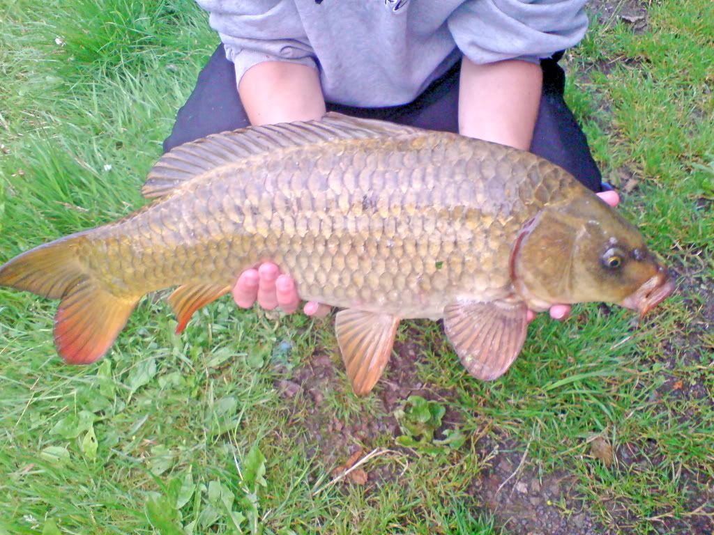 7lb2ozcanalcommon25thjune07.jpg