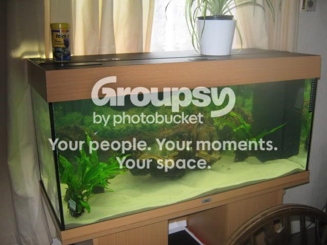 014-9.jpg