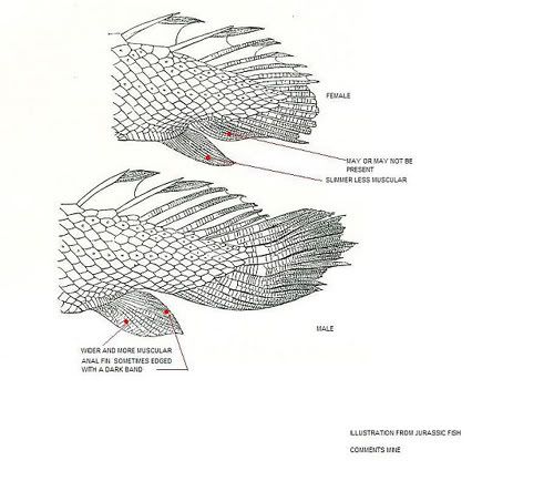 20080214012201_5.jpg