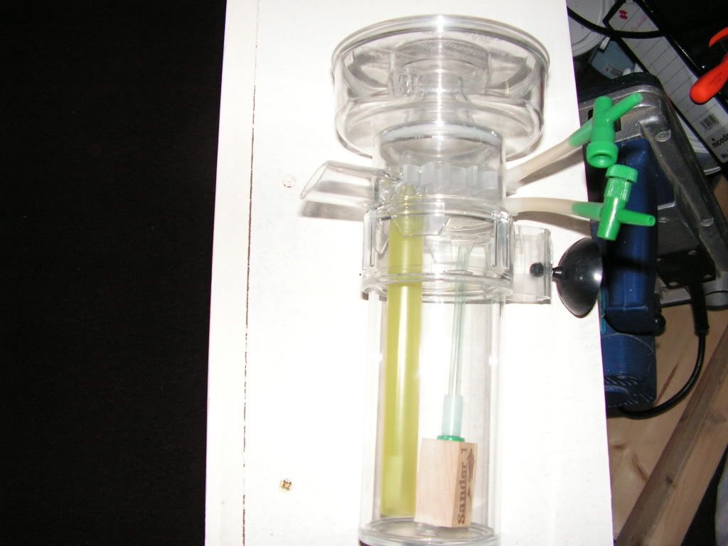 PICT1022.jpg