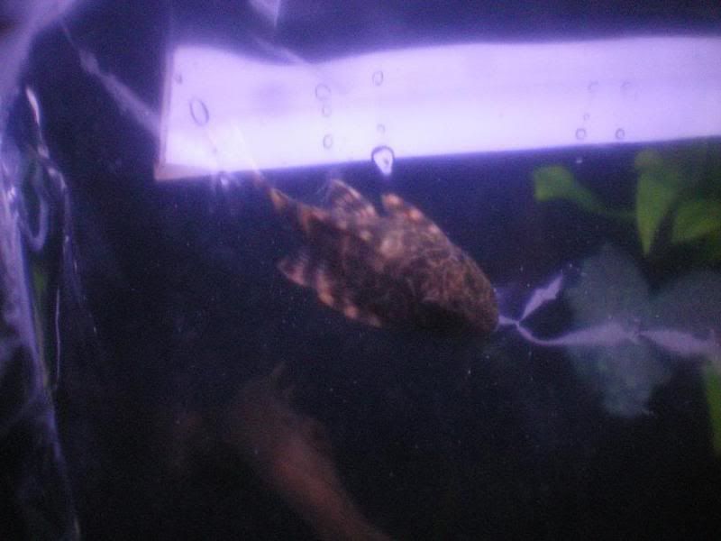 100_0031.jpg