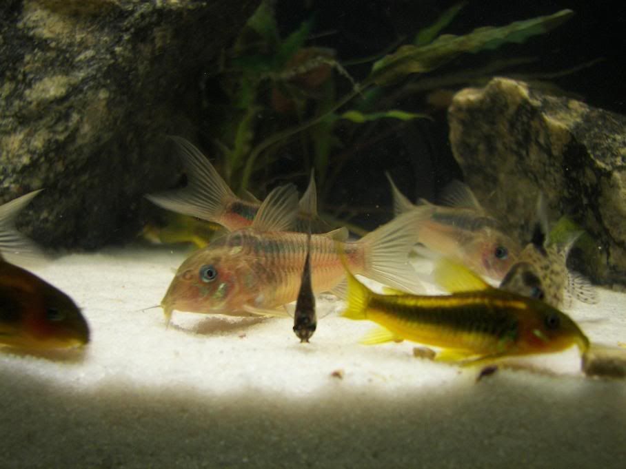 feeding.jpg