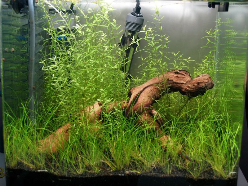 Cleancube004.jpg