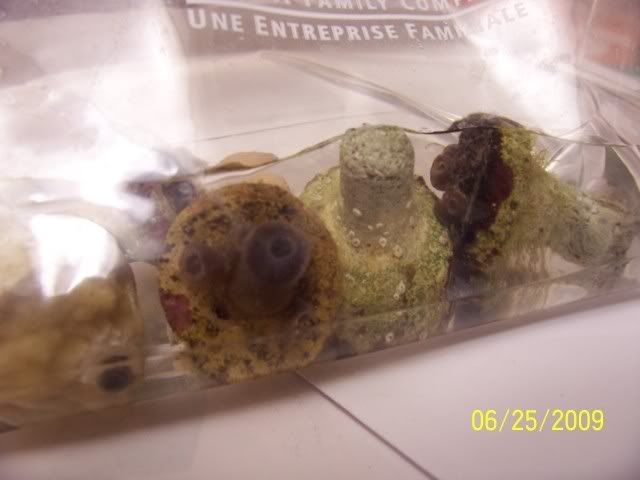100_6915.jpg