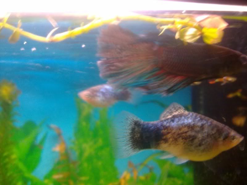 06012012717.jpg