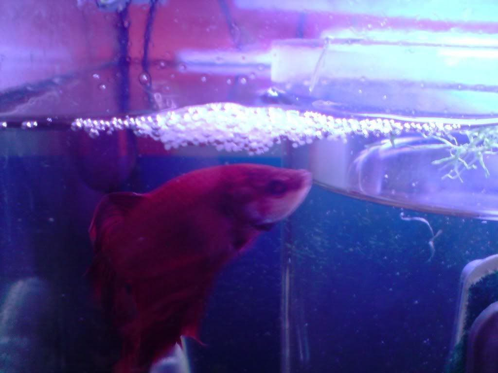 P160409_2015.jpg