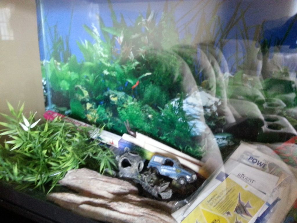 20120812_140706.jpg