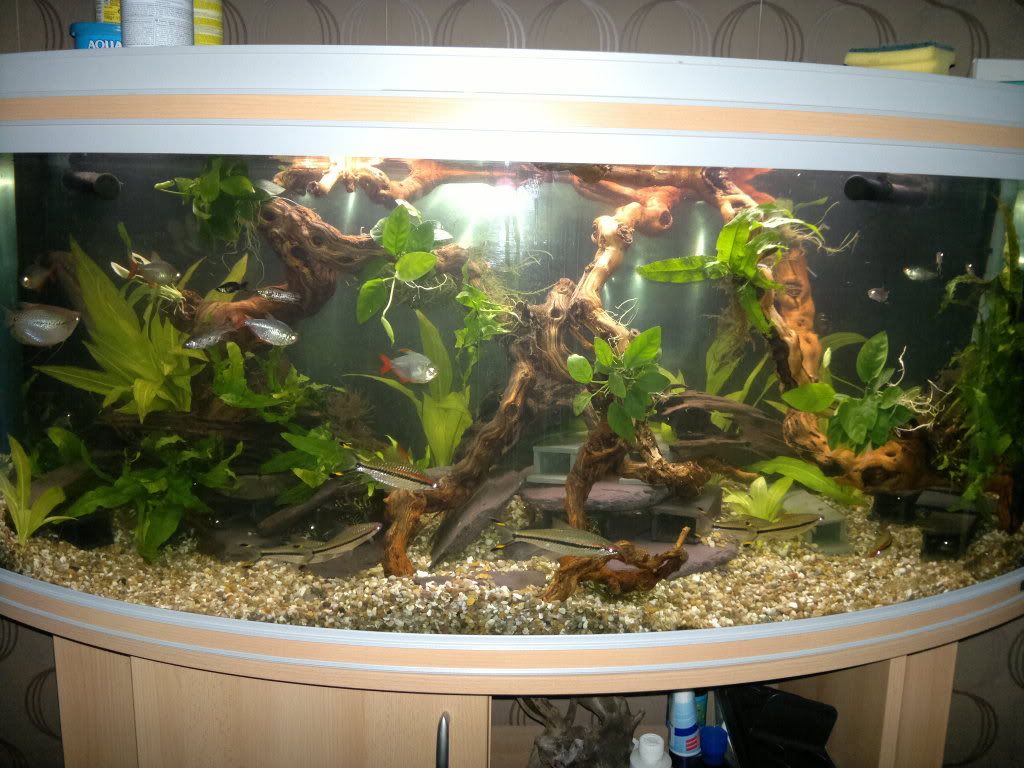20111222543.jpg