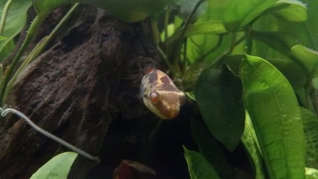 2012-07-31_19-08-17_852.jpg