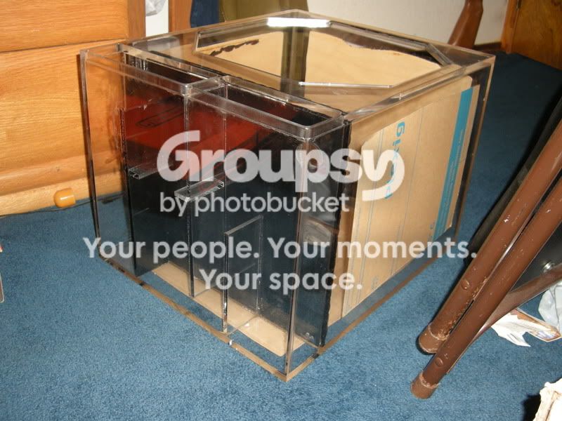 Picture009.jpg