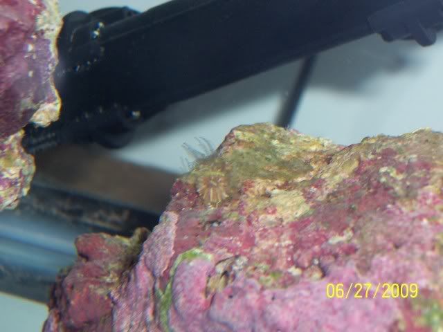 100_6972.jpg