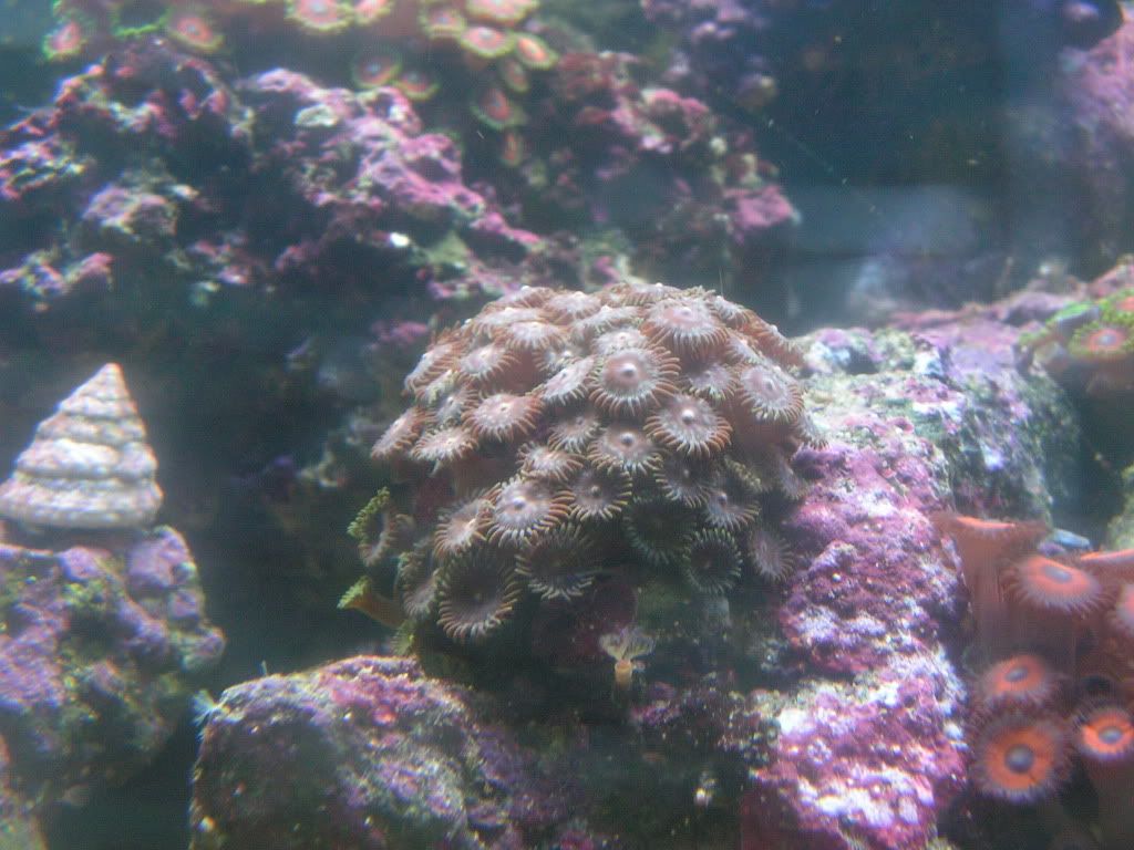 PICT1333.jpg
