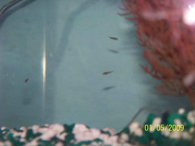 100_1248.jpg