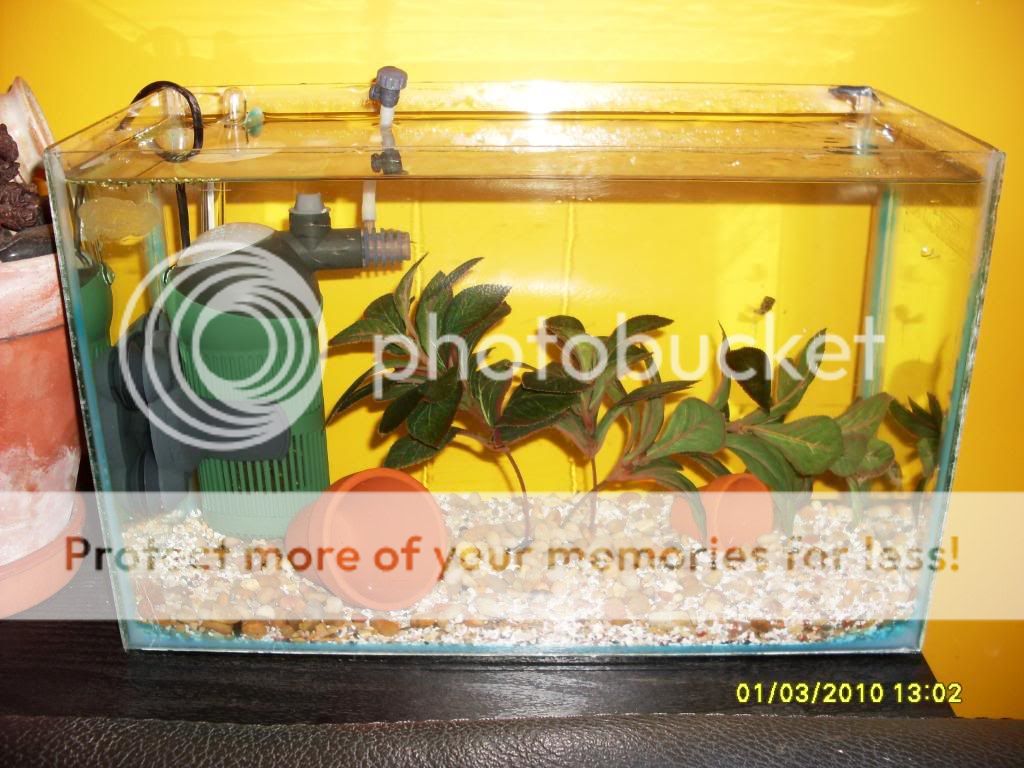 march2010027.jpg