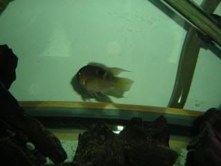 DSCN1575.jpg