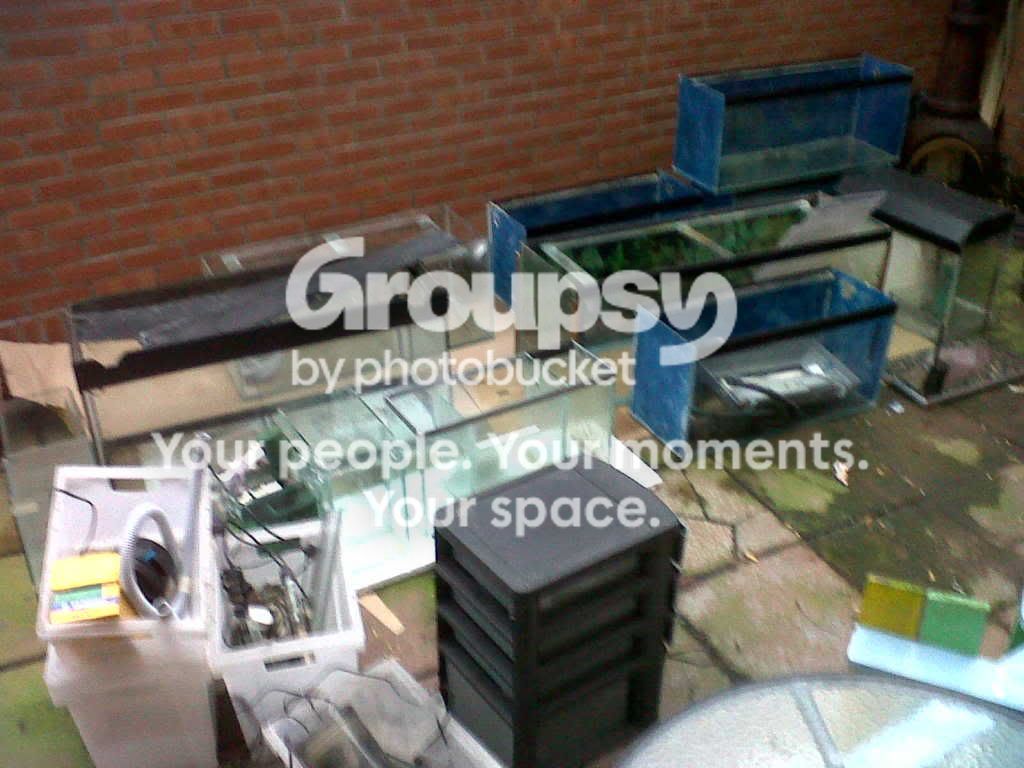 IMG00077-20110129-1549.jpg
